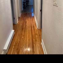 Yasmine El-Diwany's room