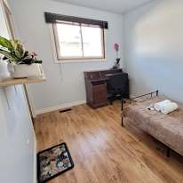 Photo of Niloofar Najafkiya's room