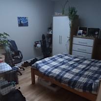 Photo of D's room