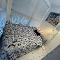 Photo of Welcome Travel Accomodation's room