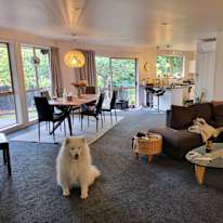 Photo of Andrew Kim's room