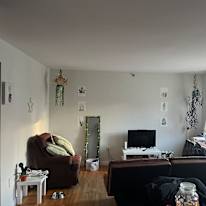 Photo of Frankia's room