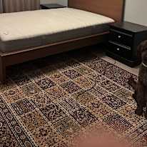 Photo of Dka's room