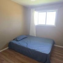 Photo of Albina Saji's room