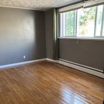 Photo of Amy's room