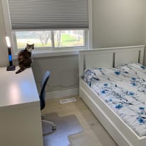 Photo of M. Maurer's room