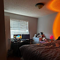 Photo of Amy's room