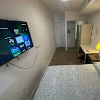 Ogeday Koskeroglu's room