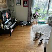 Photo of Verica's room