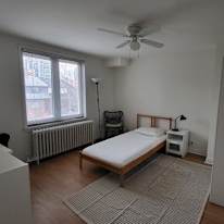 Photo of Harley's room