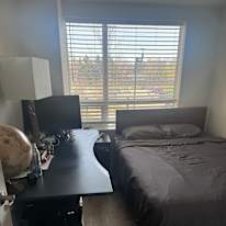 Photo of Ashtyn's room