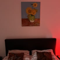 Photo of Adrian's room