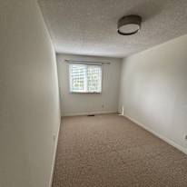 Photo of avaia's room