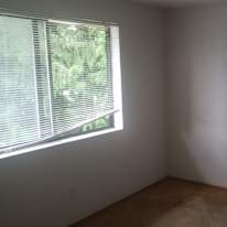 Photo of David Murphy's room