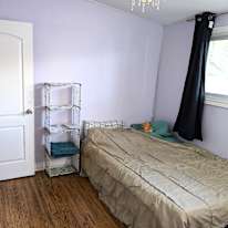 Photo of Hristo's room