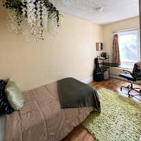 Photo of Chaya Jacobs's room