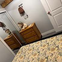 Photo of Sonia's room