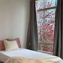 Photo of Van House's room