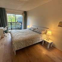 Photo of Shirin's room