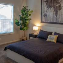 Photo of Ash Reynolds's room
