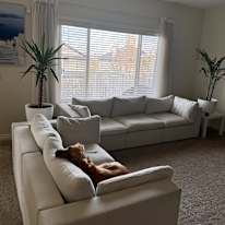 Photo of BK's room
