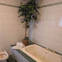 Photo of Lorenzo's room