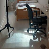 Photo of Gillian's room