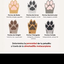 Photo of Lore's room