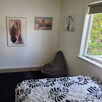 Photo of Jasmine's room
