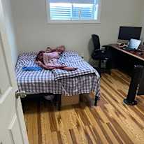 Numair Sheikh's room