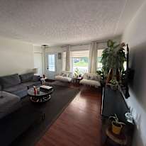 Photo of Cherry's room