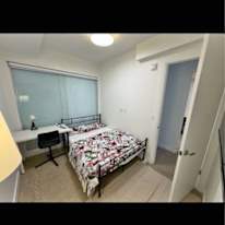 Ogeday Koskeroglu's room