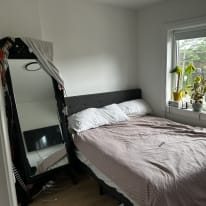 Photo of Jules's room