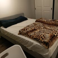 Photo of Khushboo's room