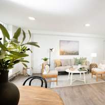 Shalon Waithira's room