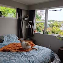 Photo of Mikayla Hopkins's room