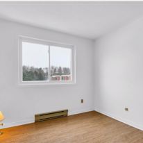 Photo of Amy's room