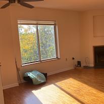 Photo of Huahua's room