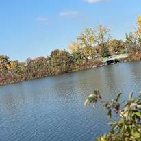 Photo of Nini's room