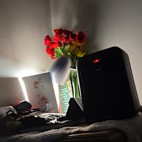 Photo of Wendy's room