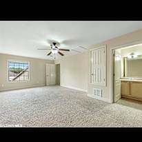 Photo of Tammy's room