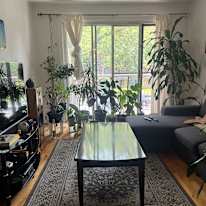 Photo of lawrence's room