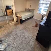 Photo of Maya's room