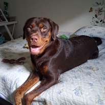 Photo of Jill's room