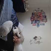 Photo of Ebony's room