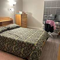 Photo of Adriana V Lagunes's room