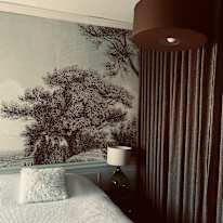 Photo of Andre's room
