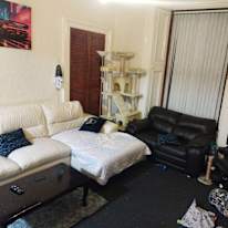 Photo of Francesco's room