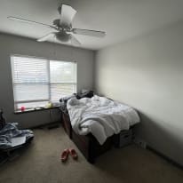 Photo of Joi's room
