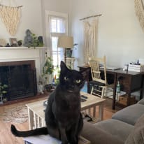 Photo of PAMELA COOK's room